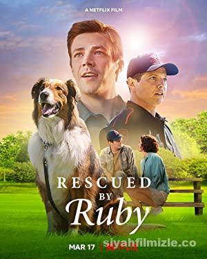 Kurtarma Köpeği Ruby 2022 Filmi Türkçe Dublaj Full izle