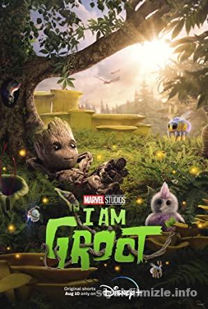 I Am Groot 1. Sezon izle Türkçe Dublaj Altyazılı