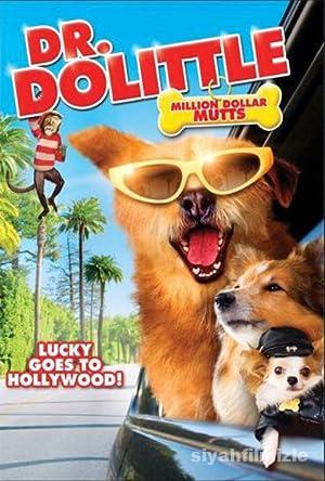 Dr. Dolittle: Milyon Dolarlık Köpek 2009 Filmi Full izle