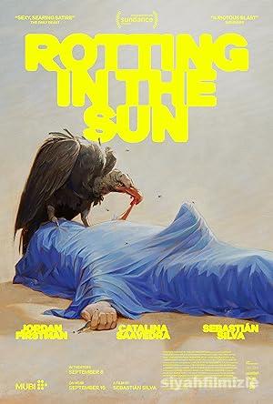 Rotting in the Sun 2023 Filmi Türkçe Dublaj Altyazılı izle